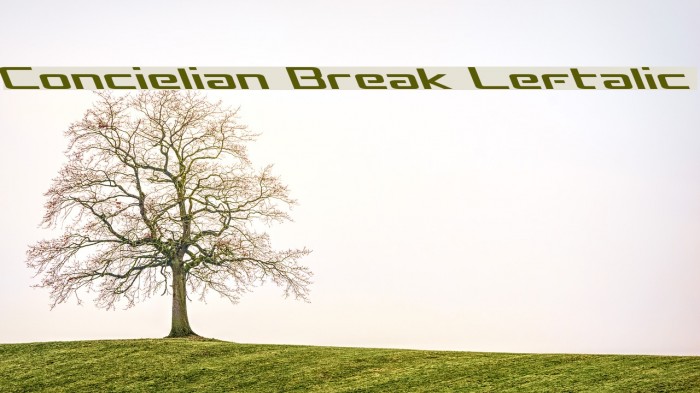 Concielian Break Leftalic Font examples