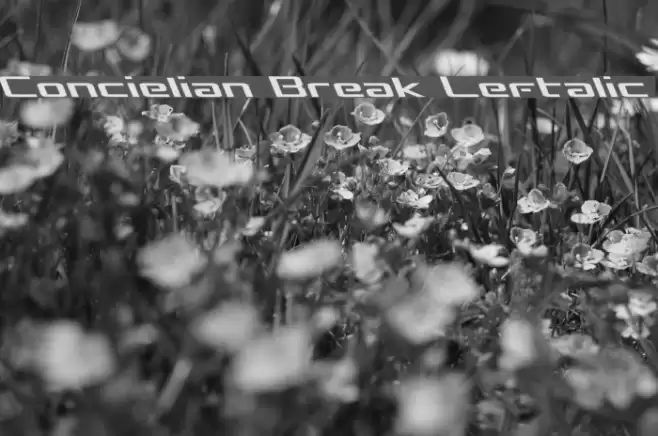 Concielian Break Leftalic Font examples