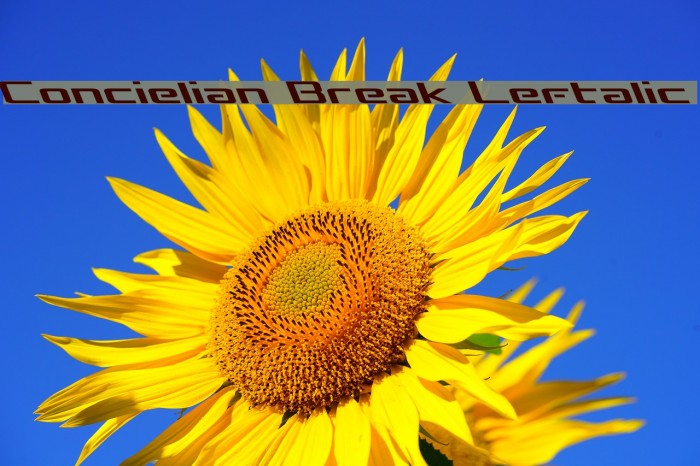 Concielian Break Leftalic Font examples