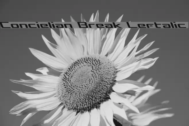 Concielian Break Leftalic Font examples