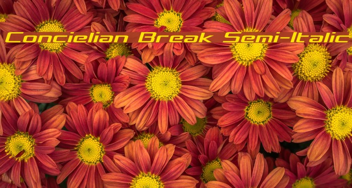 Concielian Break Semi-Italic Font examples