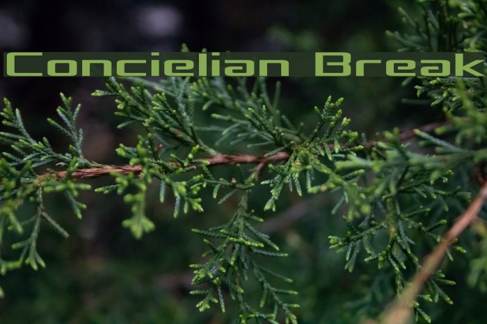 Concielian Break Example 1