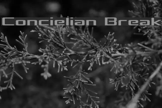 Concielian Break Font examples