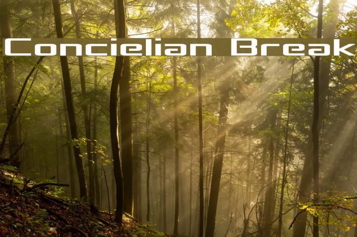 Concielian Break Example 2