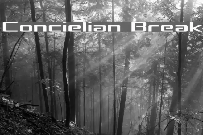 Concielian Break Font examples