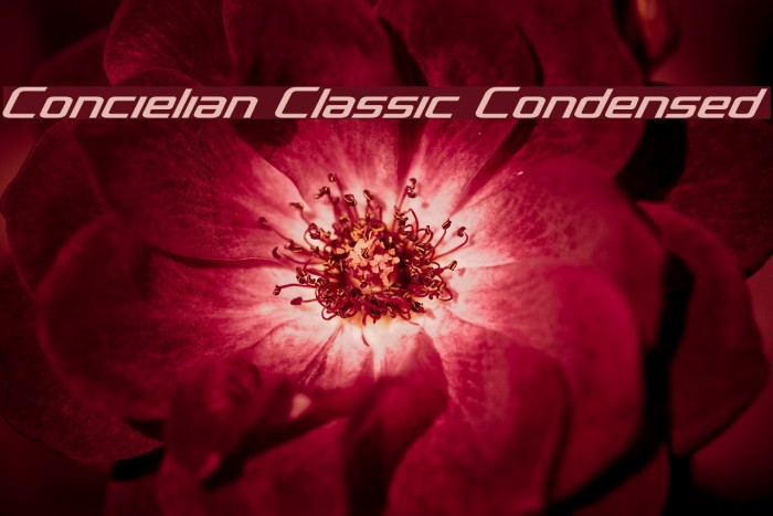 Concielian Classic Condensed Font examples