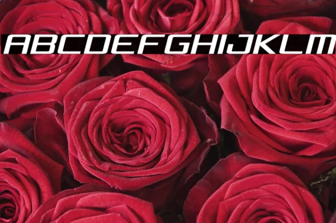 Concielian Condensed Semi-Italic Example 2