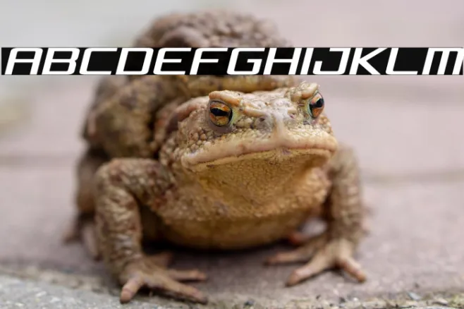 Concielian Condensed Semi-Italic Example 3