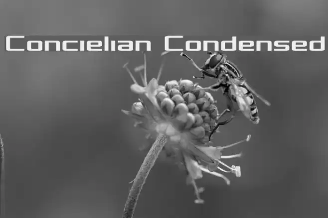Concielian Condensed フォント examples