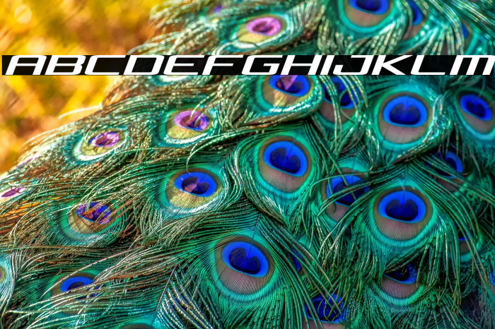 Concielian Expanded Semi-Italic Example 1