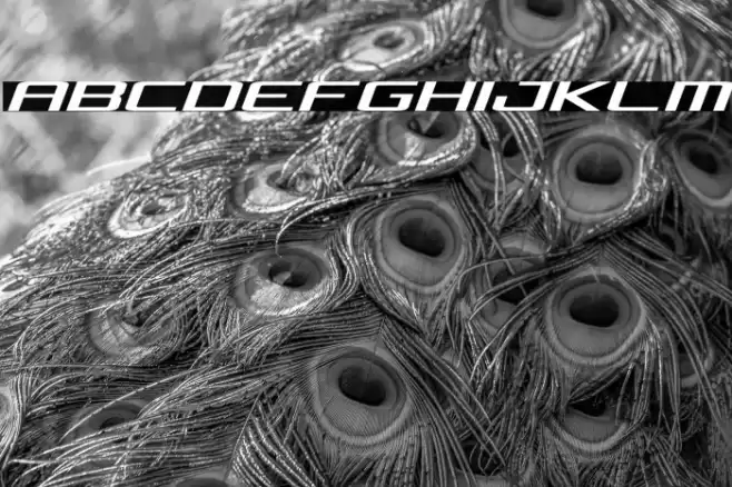 Concielian Expanded Semi-Italic Font examples