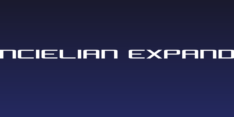 Concielian Expanded Social Header