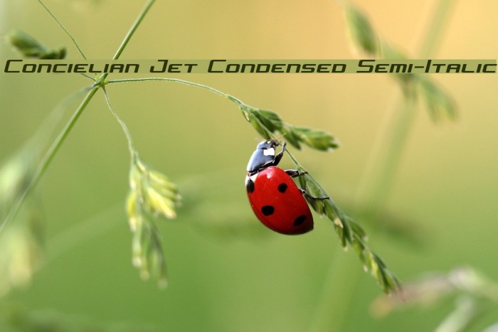 Concielian Jet Condensed Semi-Italic Font examples