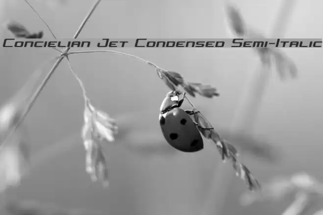 Concielian Jet Condensed Semi-Italic examples