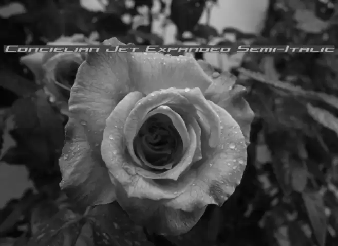 Concielian Jet Expanded Semi-Italic Font examples