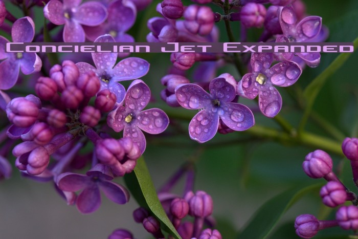 Concielian Jet Expanded Font examples
