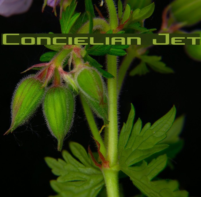 Concielian Jet Font examples