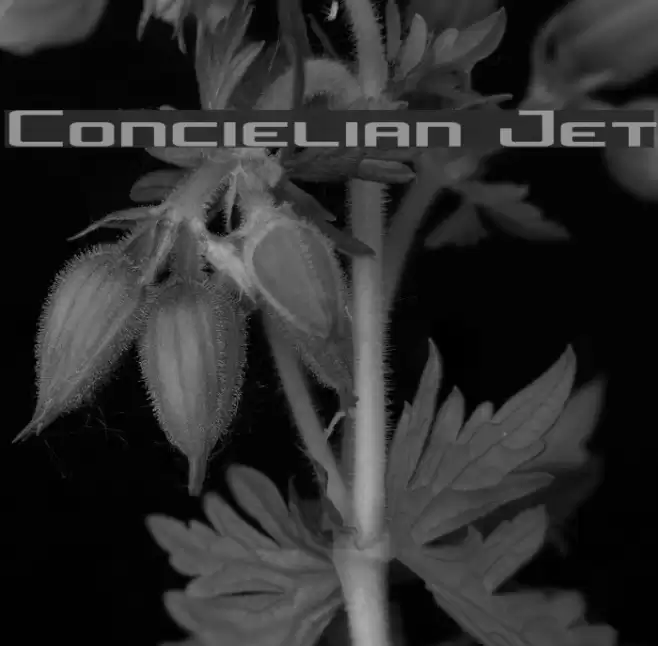 Concielian Jet Font examples