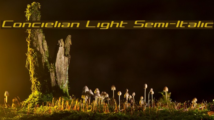 Concielian Light Semi-Italic Font examples