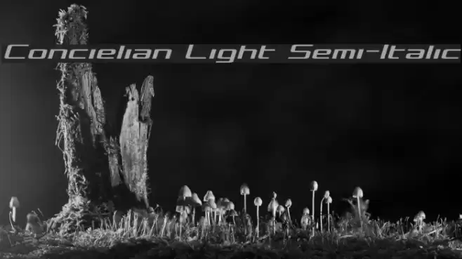 Concielian Light Semi-Italic  examples