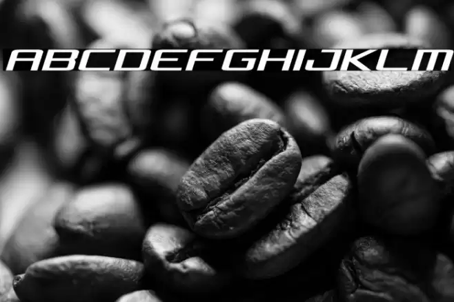 Concielian Semi-Italic Font examples