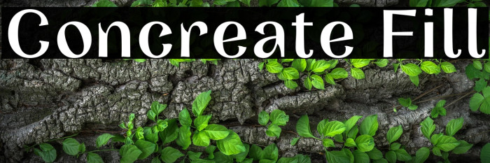 Concreate Fill Example 1