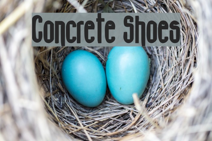 Concrete Shoes Font examples