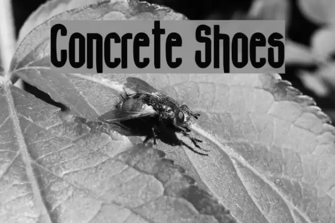 Concrete Shoes Font examples