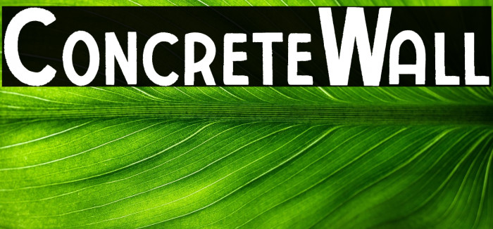 ConcreteWall Example 2