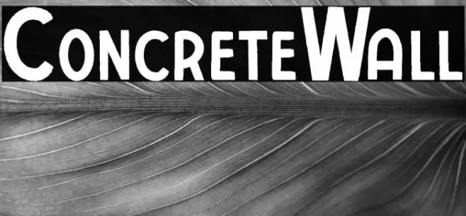 ConcreteWall Font examples