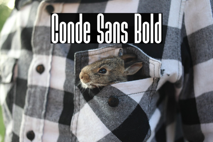 Conde Sans Bold Example 1