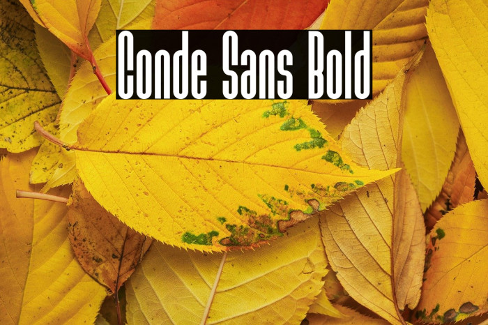 Conde Sans Bold Example 2