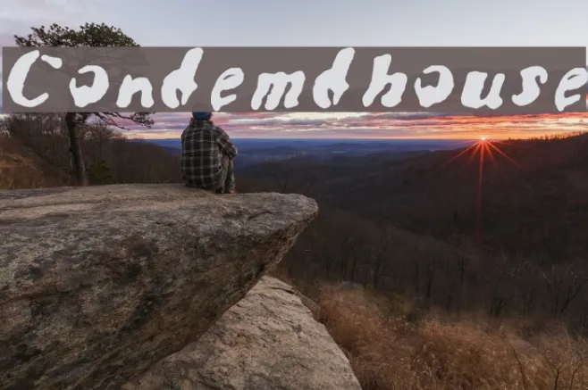 Condemdhouse Example 2