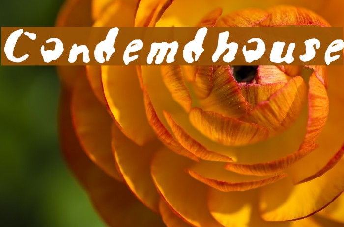 Condemdhouse Font examples