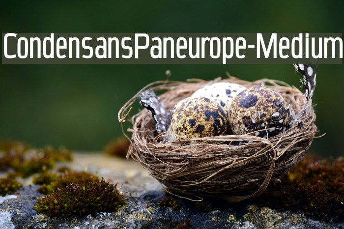 CondensansPaneurope-Medium Example 2