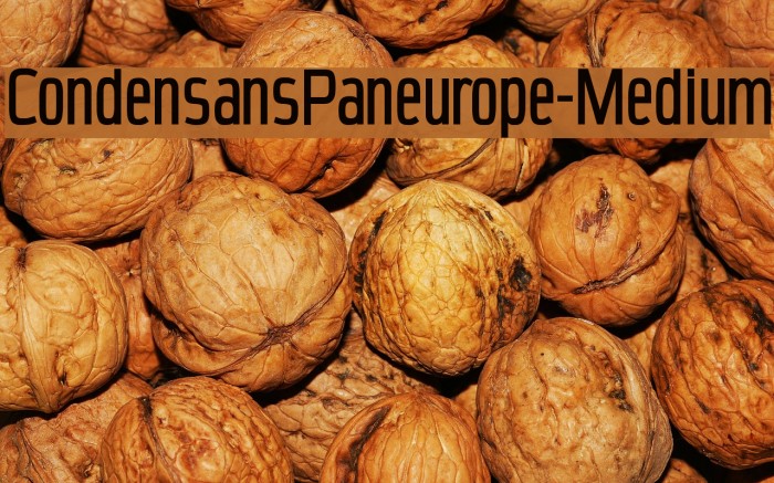 CondensansPaneurope-Medium Example 3