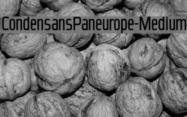 CondensansPaneurope-Medium Font examples