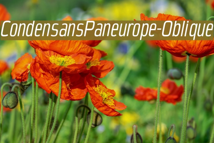 CondensansPaneurope-Oblique Font examples