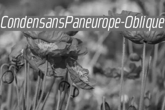 CondensansPaneurope-Oblique Font examples
