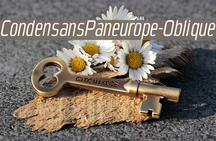CondensansPaneurope-Oblique Font examples