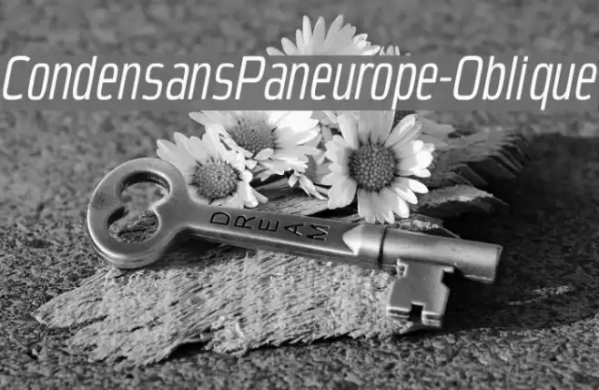 CondensansPaneurope-Oblique Font examples