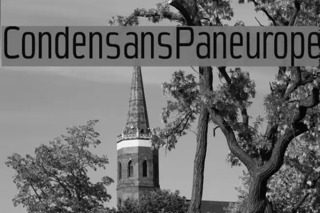 CondensansPaneurope Polices examples