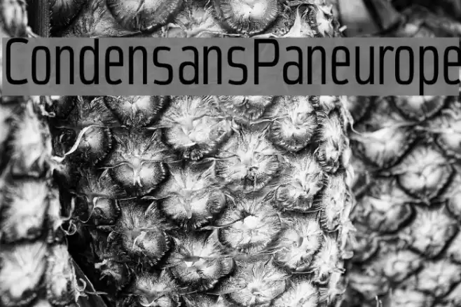 CondensansPaneurope Polices examples