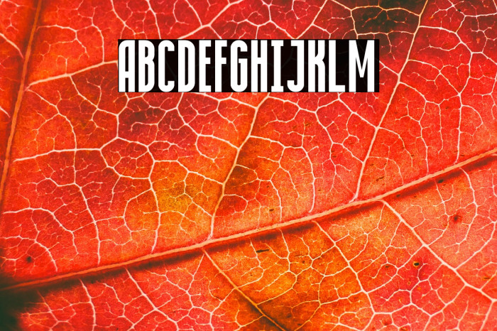 Condensed Bold Example 2