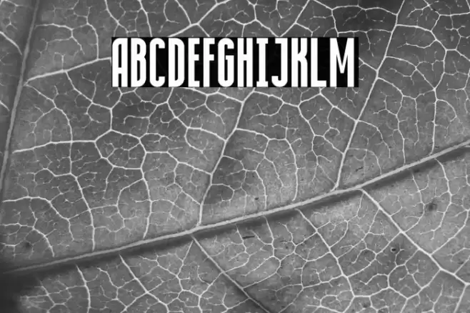 Condensed Bold फ़ॉन्ट examples