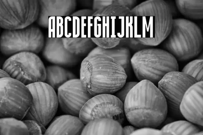 Condensed Bold फ़ॉन्ट examples