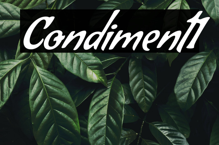 Condiment1 Example 1