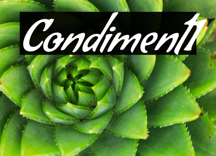Condiment1 Example 3