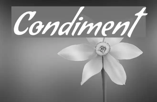 Condiment Font examples