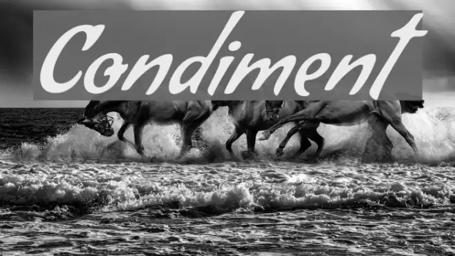 Condiment Font examples